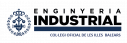 CEOIB logo