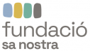 logo FSN