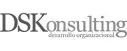 DSKonsulting logo